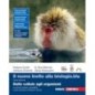 INVITO ALLA BIOLOGIA.BLU. DALLE CELLULE AGLI ORGANISMI CON ESPANSIONI - ISBN: 9788808399885