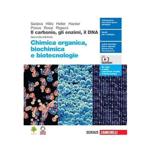 IL CARBONIO GLI ENZIMI IL DNA. CHIMICA ORGANICA BIOCHIMICA E BIOTECNOL - ISBN: 9788808720160