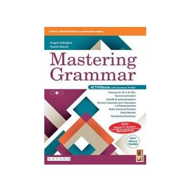 MASTERING GRAMMAR WITH INVALSI VOL + AB + MASTERINGGRAMMARWITHIN - ISBN: 9788883395338