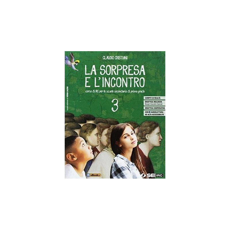 LA SORPRESA E L'INCONTRO 3