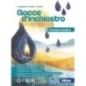 GOCCIE D'INCHIOSTRO POESIA E TEATRO - ISBN: 9788826825250