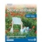 SYNTAX LINGUAGGI C, C++ , WEB - ISBN: 9788826824765