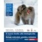 NUOVO INVITO ALLA BIOLOGIA. BLU BIOLOGIA MOLECOLARE GENETICA EVOLUZION - ISBN: 9788808608031